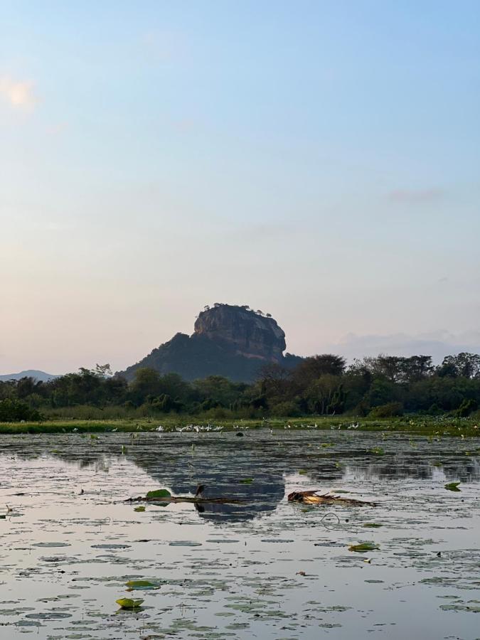 Gold Crown Residence Dambulla Ngoại thất bức ảnh